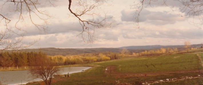 Sycamore Hill Farm 1970s