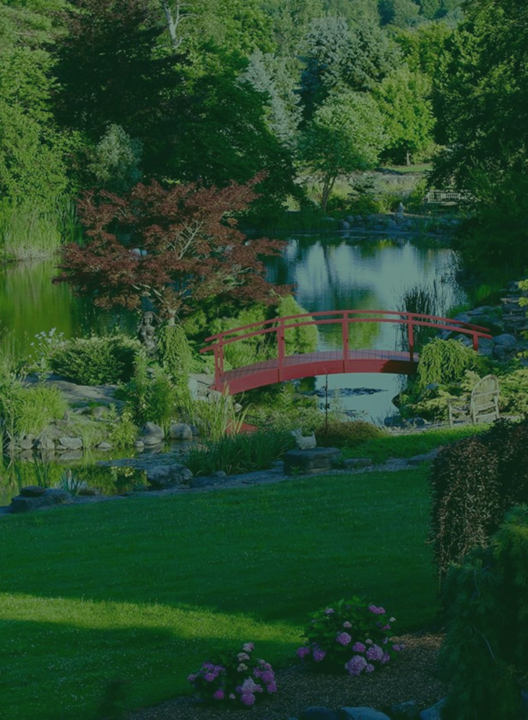 Sycamore Hill Gardens Header 3 Sycamore Hill Gardens