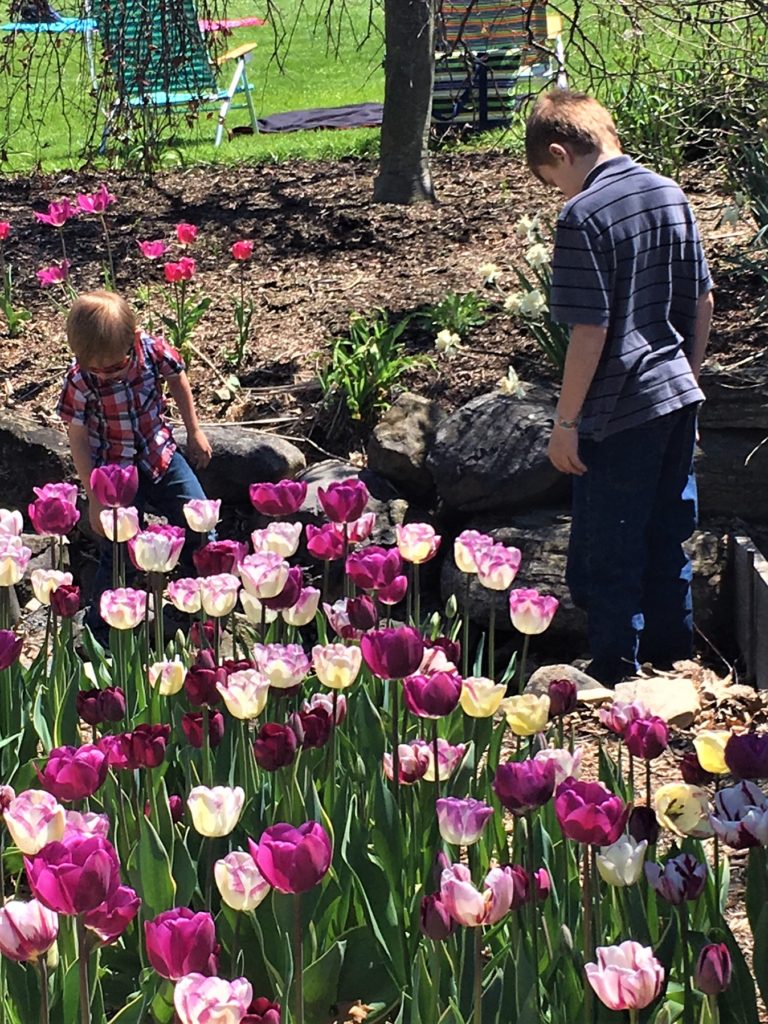 Sycamore Hill Gardens Where Nature and Beauty are One