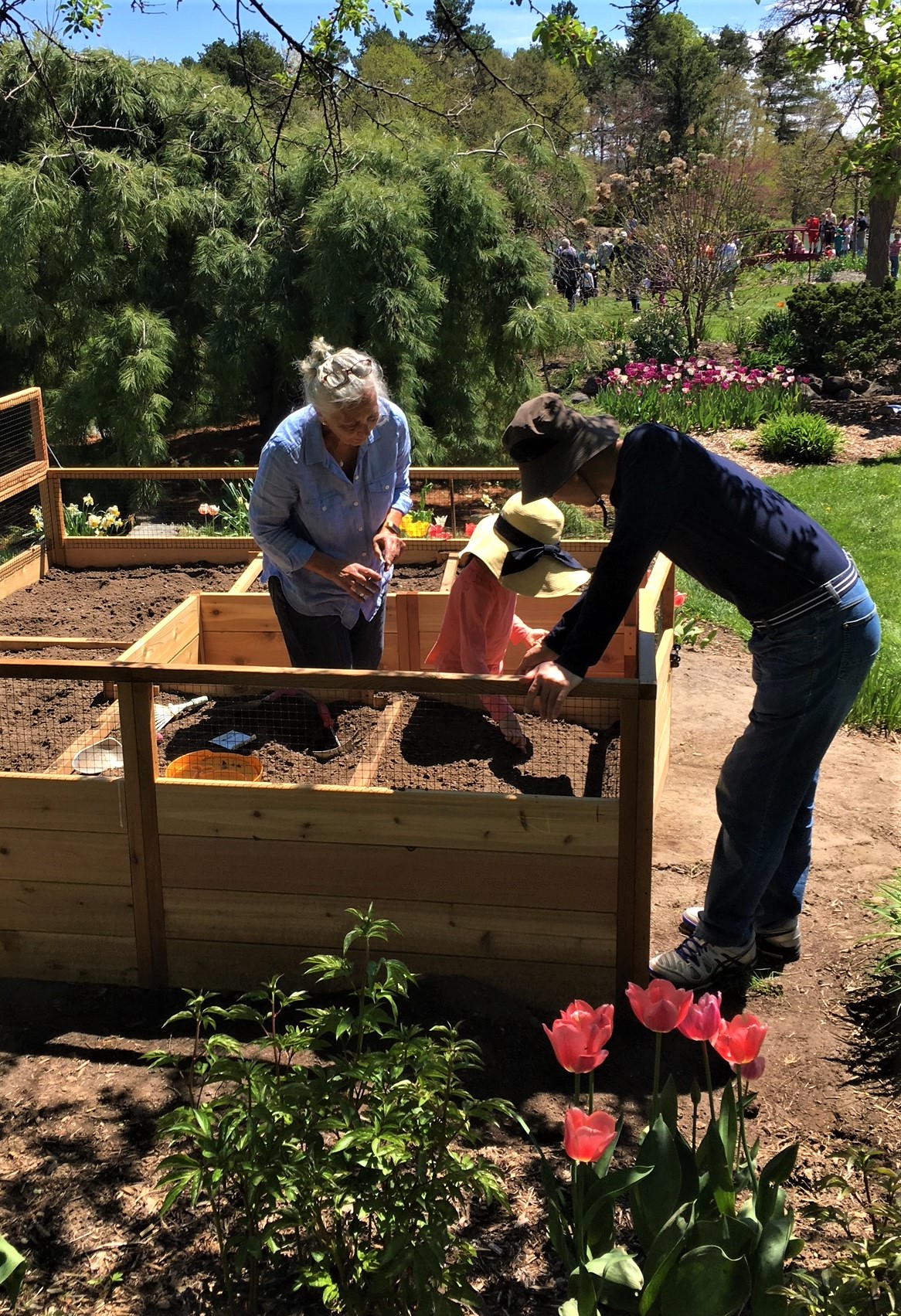 Sycamore Hill Gardens Where Nature and Beauty are One