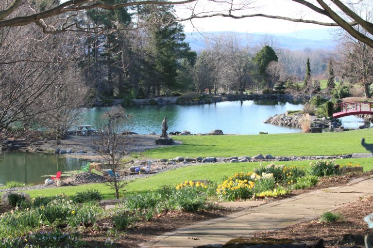 IMG_2225 (2) Sycamore Hill Gardens