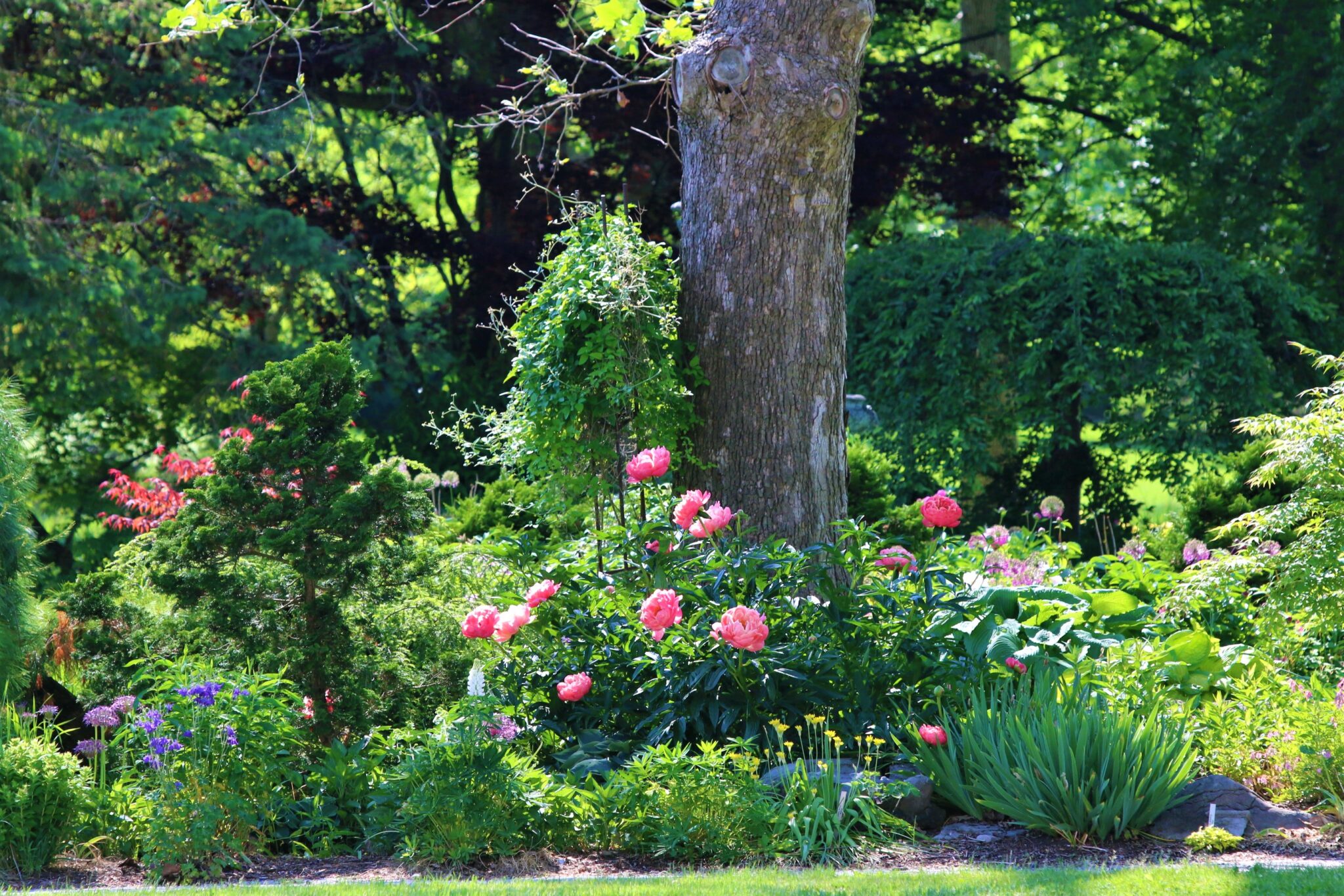 Sycamore Hill Gardens Where Nature and Beauty are One