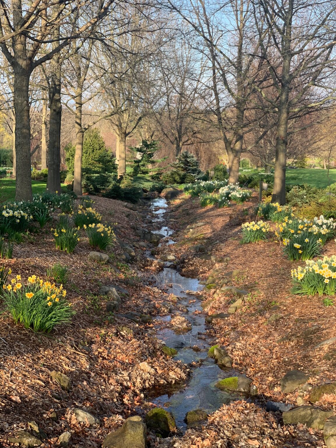 Sycamore Hill Gardens Where Nature and Beauty are One